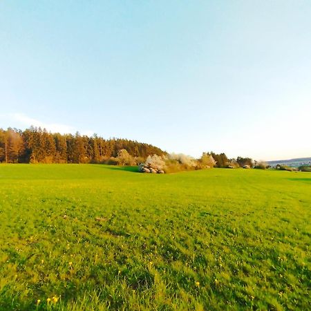 Hochwertige Wohnung Mit Parkplatz Im Schoenen Schwarzwald Altensteig Luaran gambar